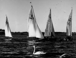 National 12
